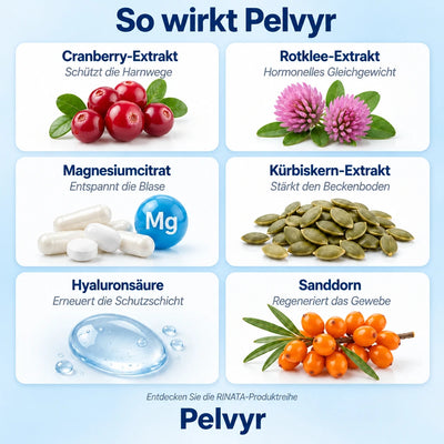 Pelvyr™ – Unterstützung für die Blasengesundheit